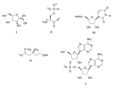 Phosphate Group