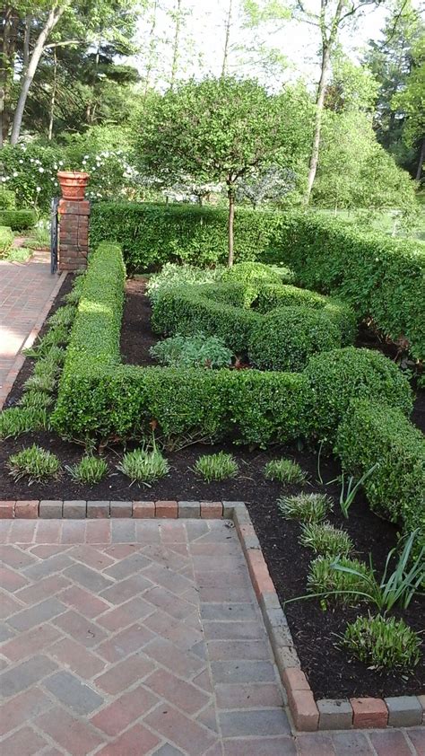 Formal English Garden - Hedges of Boxwoods and Burning bushes frame beds of perennials, roses ...