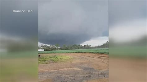 Video of large tornado in Allendale County, South Carolina | wltx.com