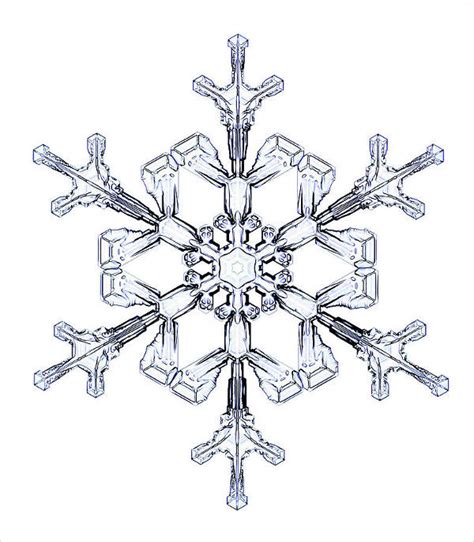 FREE 8+ Snowflake Drawings in AI