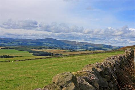 Scottish Moors on a Foggy Summer Day Stock Photo - Image of hiking, beauty: 163340514