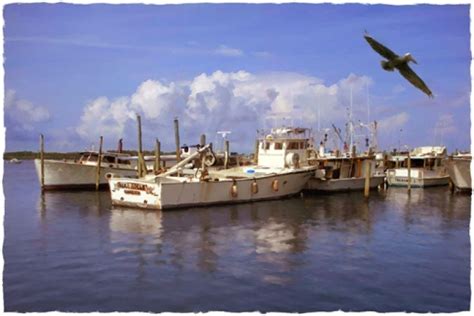 Tending the Nets - Cortez Fishing Village