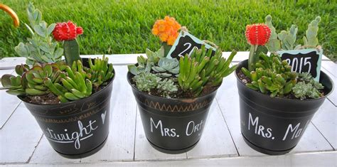 SaSea Decor: DIY Teacher Appreciation Or Mother's Day Succulents Potted ...