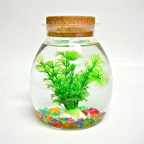 12 Best Fish Tank For Kids Reviews Of 2021 Parents Should Consider