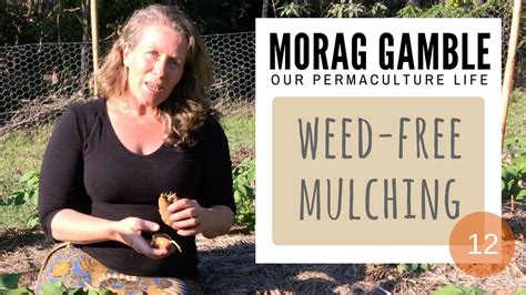 Weed-Free Mulching. Film #12 with Morag Gamble: Our Permaculture Life ...