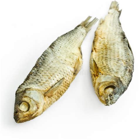 Dry fish stock photo. Image of fishy, seafood, market - 18830784