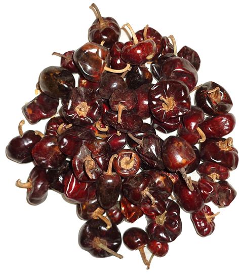 Wholesale Dried Cascabel Chili Pepper chile Cascabel 1 Lb 2 | Etsy