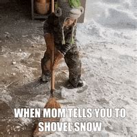 Shoveling Snow GIFs - Find & Share on GIPHY