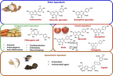 Phenolic Acids: The Antioxidant-Rich Compounds Found in Plant-Based ...