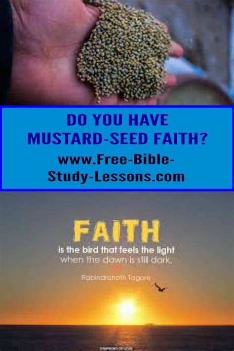 Mustard Seed Faith