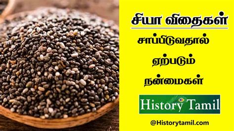 Chia Seeds Benefits In Tamil - சியா விதைகள் சாப்பிடுவதால் ஏற்படும் ...