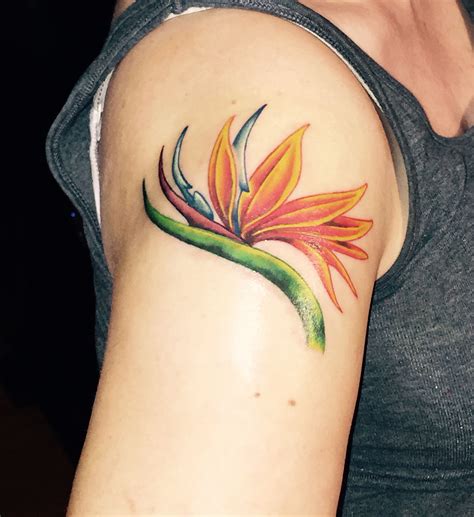 Bird of Paradise tattoo. Love it!! Bird Of Paradise Tattoo, Bird Tattoos For Women, Birds Of ...