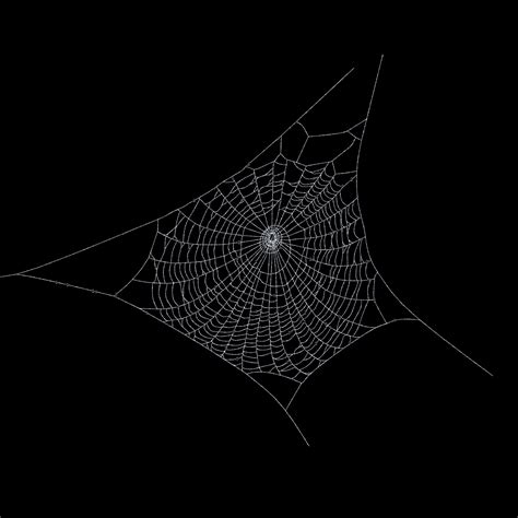 spiderweb 3d model