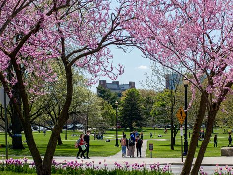 Ohio State University Hospital Flowers | Best Flower Site