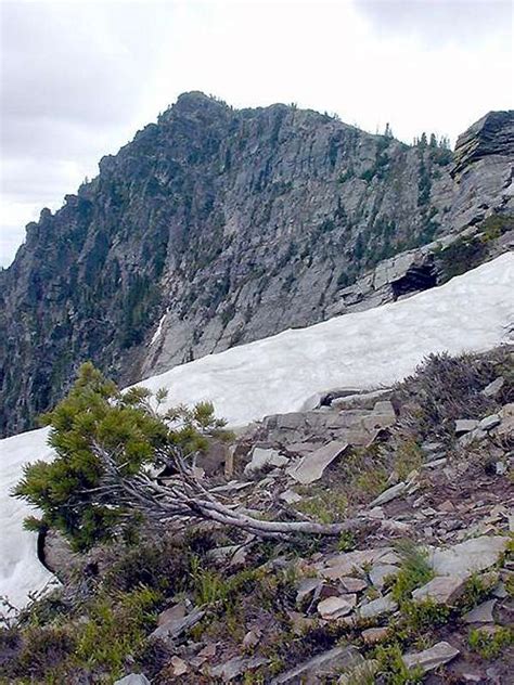 Scotchman Peak from where the trail meets the final ridge. : Photos, Diagrams & Topos : SummitPost