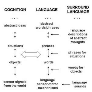 (PDF) Language and Cognition