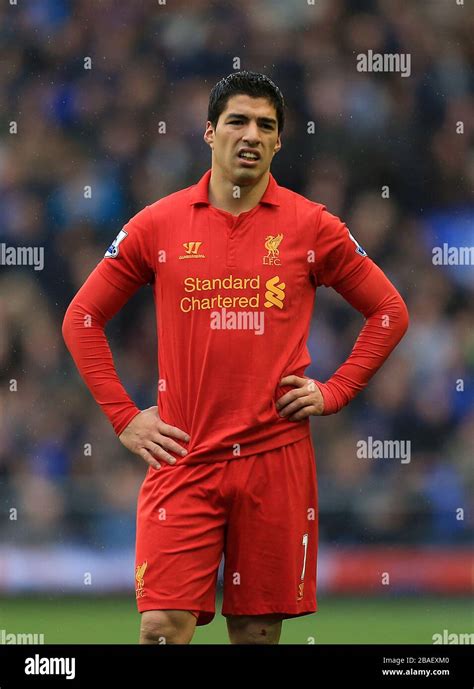 Luis Suarez, Liverpool Stock Photo - Alamy