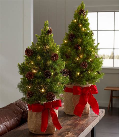 Live Christmas Tree Prices 2024 - Darya Emelyne