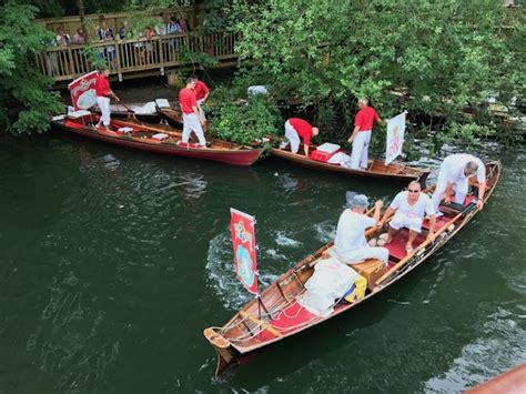 Swan Upping: Counting the Crown’s Swans On The River Thames | Guide London