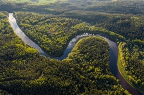 The Amazon River fell to its lowest level in over a century recently.