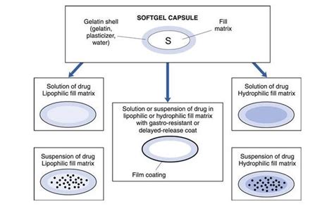 Soft Gelatin Capsules Ingredients: The Ultimate Guide - SaintyTec