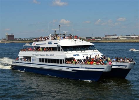 boston Harbor Cruises