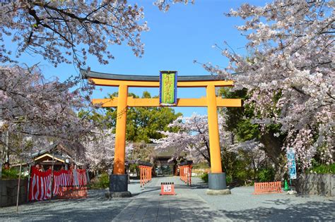 6 Best Temples to See Cherry Blossoms in Kyoto - Great Places in Kyoto ...