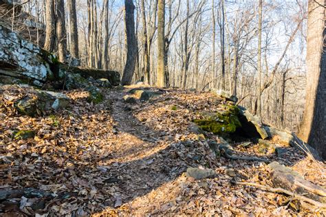 Monte Sano State Park Trails | Winter Hiking & Biking