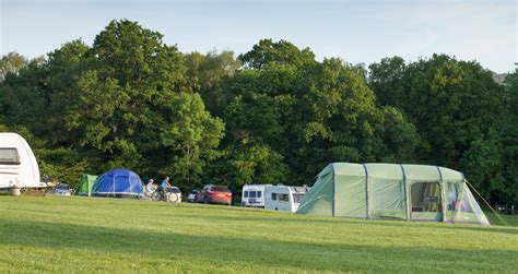 Forest Of Dean Tent Camping - forest camping wallpaper