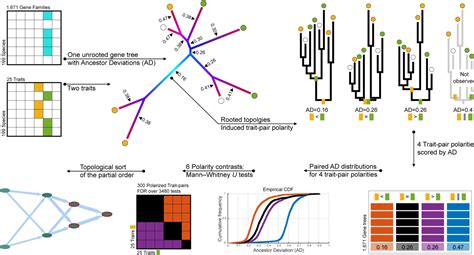 Figure 1 from A chronology of multicellularity evolution in cyanobacteria 3 4 5 6 7 | Semantic ...