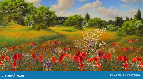 Flowers on Field in Forest Beautiful Summer Nature Landscape Stock ...