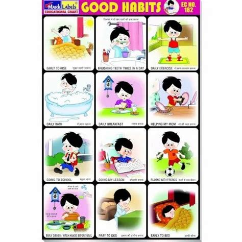 English and Hindi Paper Good Habits Chart, Size: 9 Inch X 13.5 Inch at Rs 42/packet in Mumbai