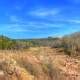 Reservoir from Afar at Johnson's Shut-Ins State Park image - Free stock photo - Public Domain ...