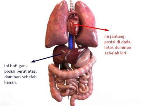 Gambar Jaga Hati Dan Perasaan : Sangat Pilu ! Gambar-Gambar Yang Menyentuh Hati, Jiwa Dan ...