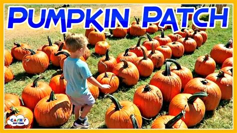 PUMPKIN PATCH Adventures & Activities For Kids - YouTube