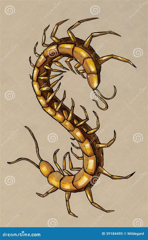 Centipede Royalty-Free Cartoon | CartoonDealer.com #5325281