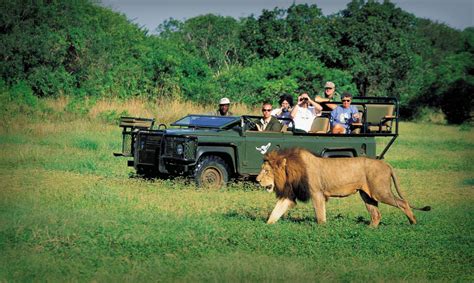 Safari Tours in Sri Lanka - Uplist Digital