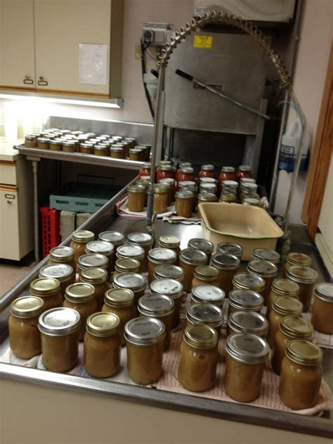 Bulk Applesauce Canning Session - Frugal Upstate