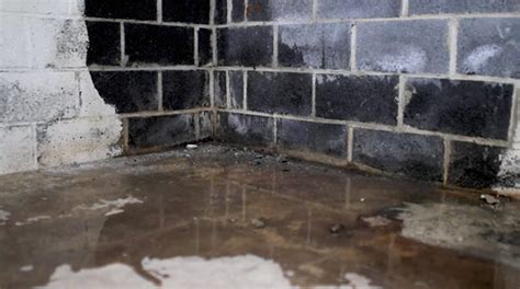 The Benefits of Professional Basement Waterproofing: Enhancing Your Home’s Value and Safety ...