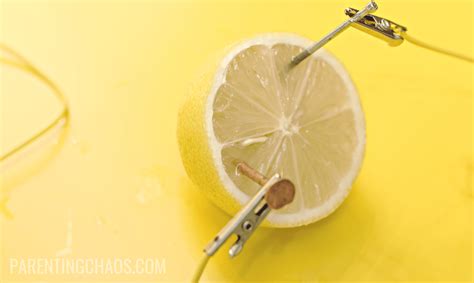 How to Make a Lemon Battery Science Project ⋆ Parenting Chaos