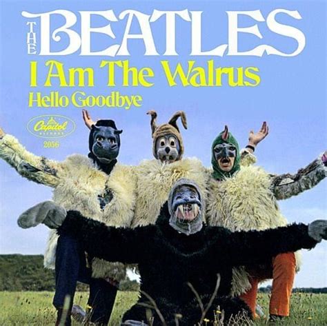 The Beatles – I Am the Walrus Lyrics | Genius Lyrics