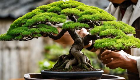 Mastering the Art of Bonsai Pruning