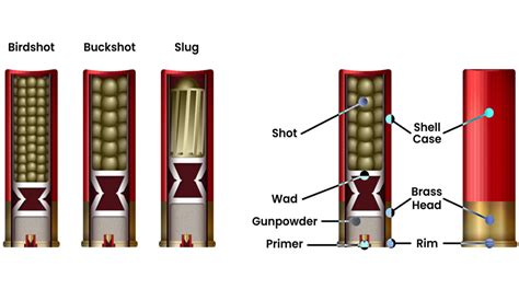 Shotgun Basics: 3 Types of Shotshells (& Why It Matters)