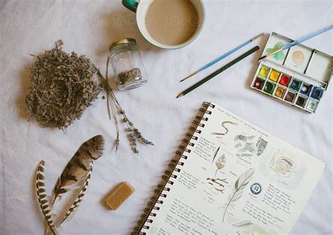 "Nature Journal And Supplies" by Stocksy Contributor "Kristin Rogers ...