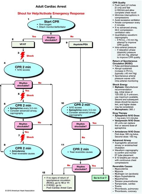 Cardiopulmonary Resuscitation