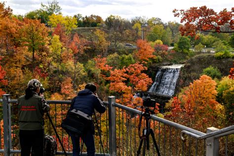 10 Best Waterfalls in Hamilton, Ontario: Explore the World's Waterfall Capital! - The Holistic ...