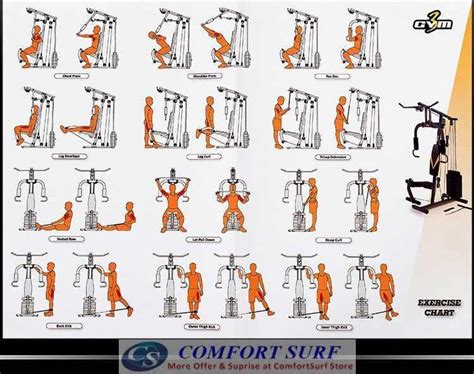 Multi Gym Workouts | Image Result For Back Exercises For The Multi Gym ...