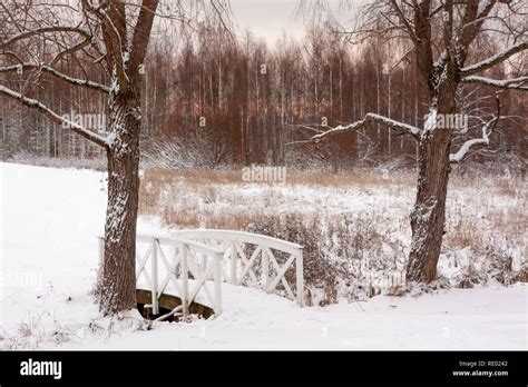 Beautiful winter snow landscape in Finland Stock Photo - Alamy