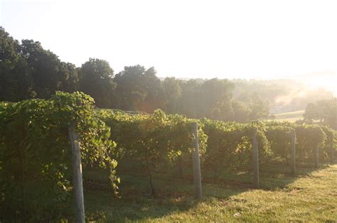 French Lick Winery | Award Winning Indiana Estate Wine — French Lick Winery