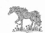 Complex Horse Coloring Pages & coloring Book 6000  sketch template